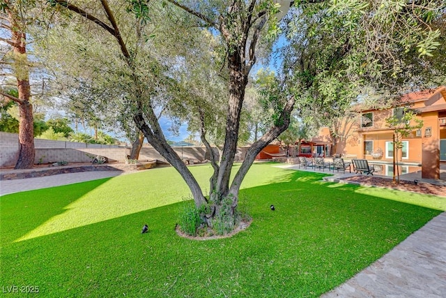 view of yard featuring a patio