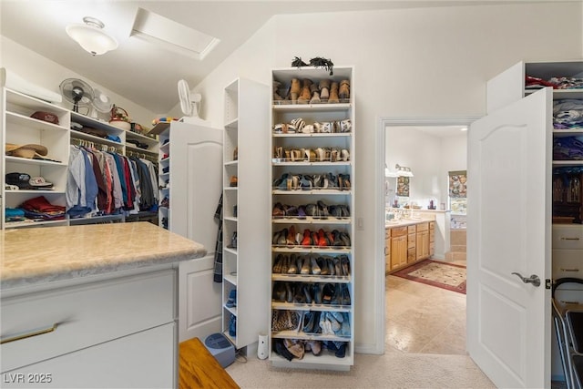 view of spacious closet