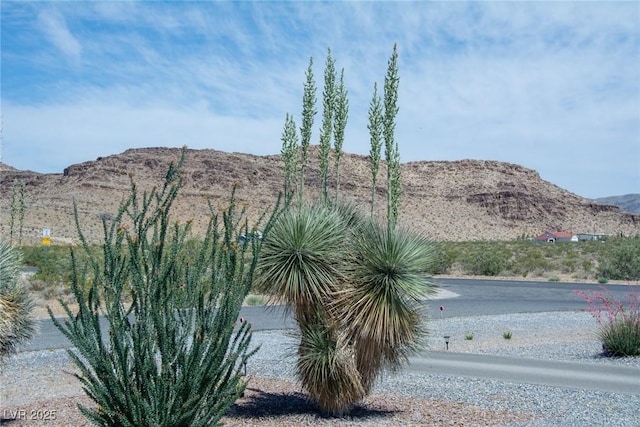 view of mountain feature