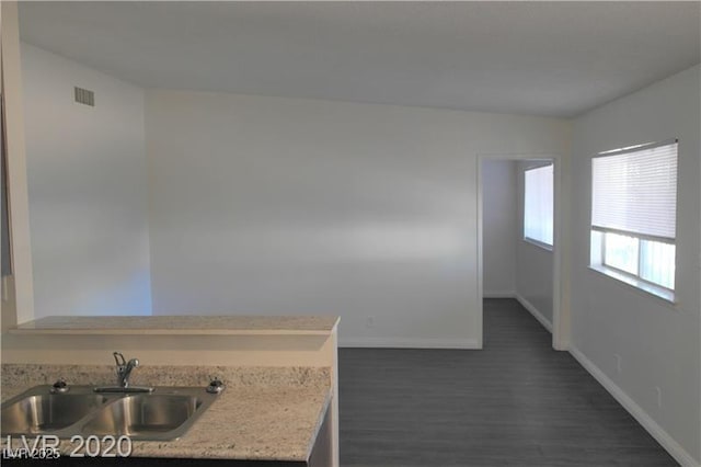 kitchen with dark hardwood / wood-style flooring and sink