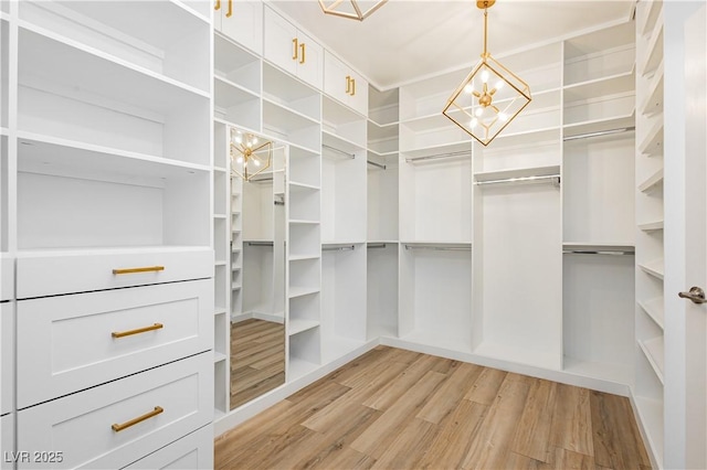 spacious closet featuring an inviting chandelier and light hardwood / wood-style flooring