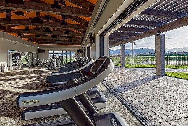 exercise room with plenty of natural light