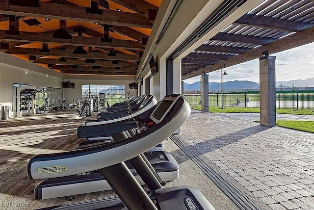 exercise room featuring a healthy amount of sunlight