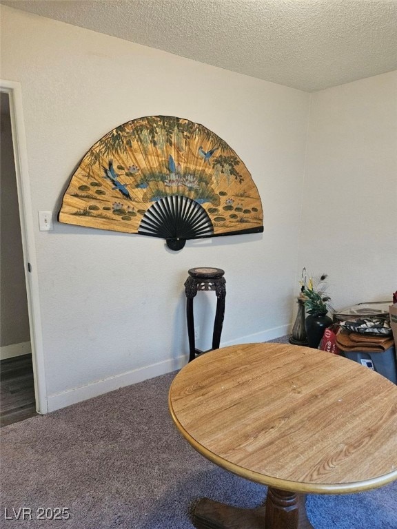 details featuring carpet floors and a textured ceiling