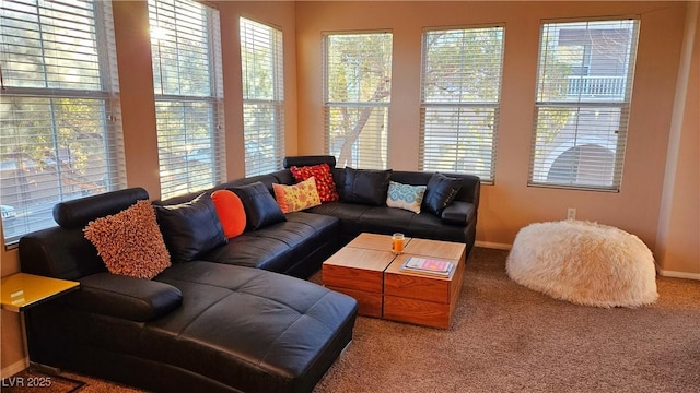 carpeted living room with a wealth of natural light