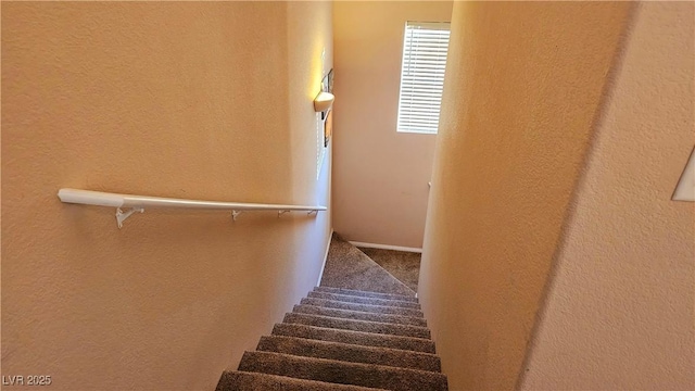 staircase with carpet