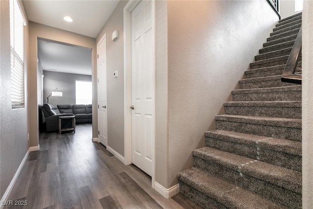 staircase with hardwood / wood-style floors