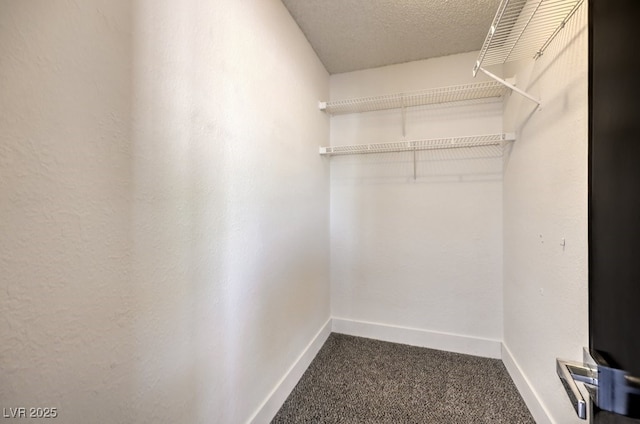 walk in closet with carpet floors