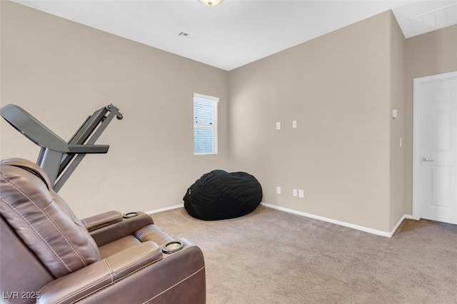 sitting room featuring carpet floors