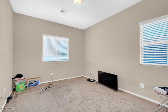 miscellaneous room featuring plenty of natural light and carpet flooring