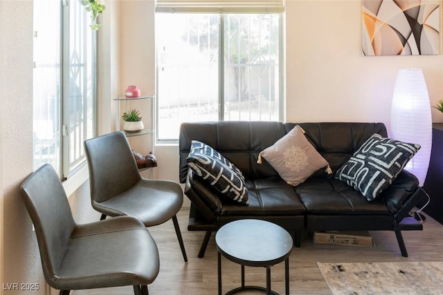 living room featuring light hardwood / wood-style floors