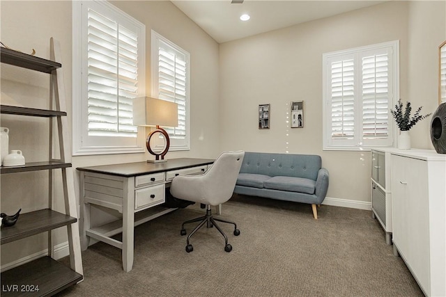 carpeted office with plenty of natural light