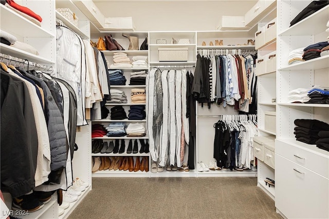 walk in closet with carpet flooring