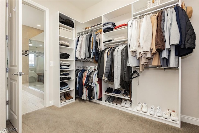 spacious closet featuring carpet flooring