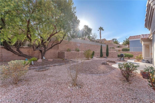 view of yard featuring a patio area