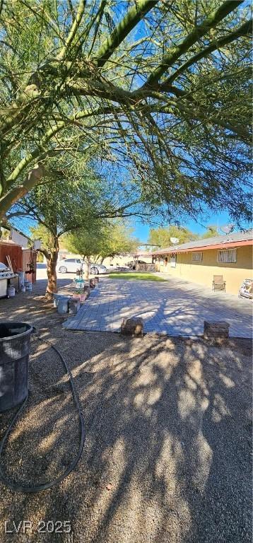 view of yard featuring a patio