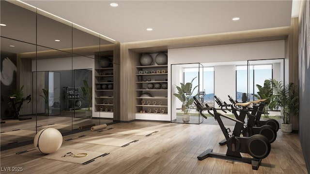 gym with hardwood / wood-style flooring