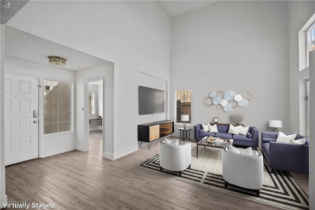 living room featuring a high ceiling and wood-type flooring