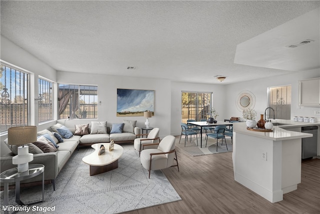 living room with sink, a textured ceiling, and light hardwood / wood-style flooring