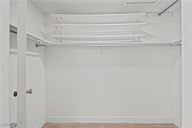 view of spacious closet