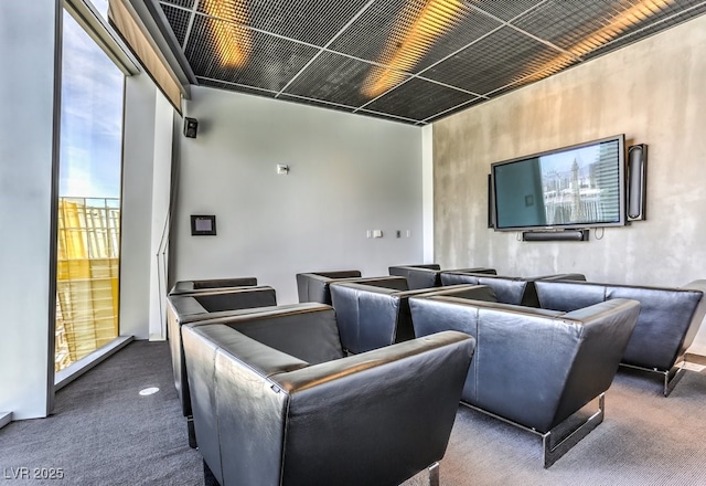 view of carpeted home theater room