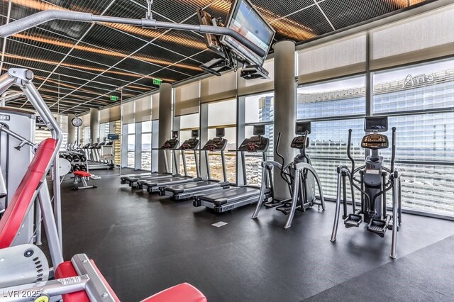 workout area featuring a wall of windows