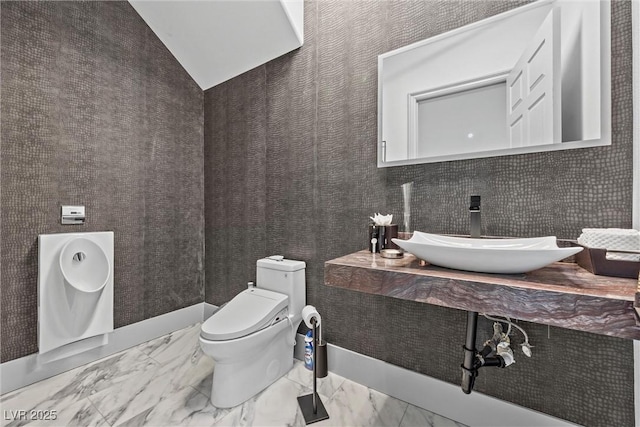 bathroom featuring toilet, vaulted ceiling, and sink