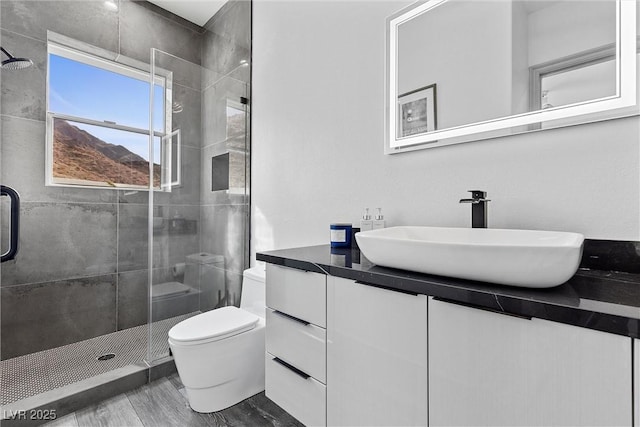 bathroom with toilet, vanity, and an enclosed shower