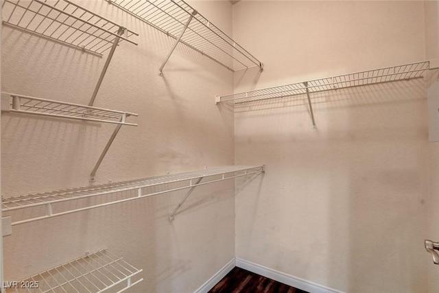 walk in closet with dark wood-type flooring