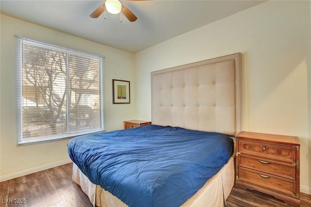 bedroom featuring ceiling fan, dark hardwood / wood-style floors, and a closet