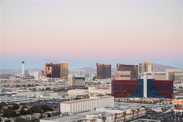 city view featuring a mountain view