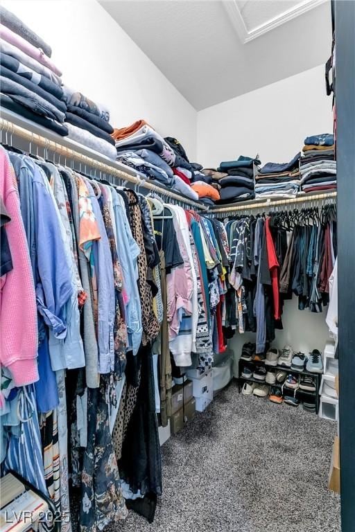 walk in closet with carpet floors