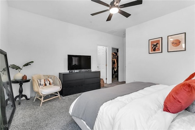 bedroom featuring ceiling fan, a walk in closet, a closet, and carpet