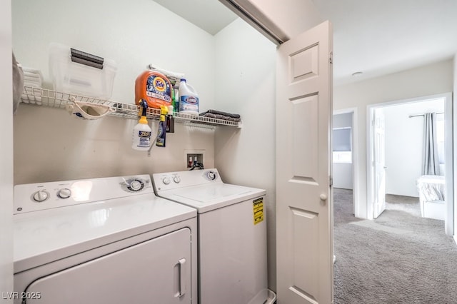 laundry area with carpet and washing machine and clothes dryer