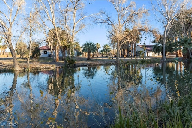 view of water feature