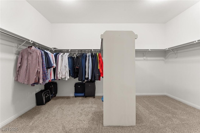 spacious closet featuring light colored carpet