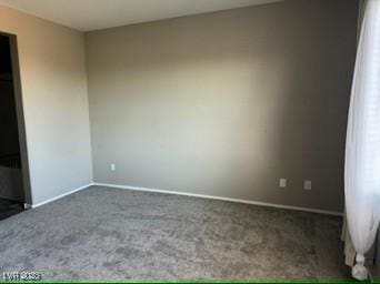 spare room with carpet floors