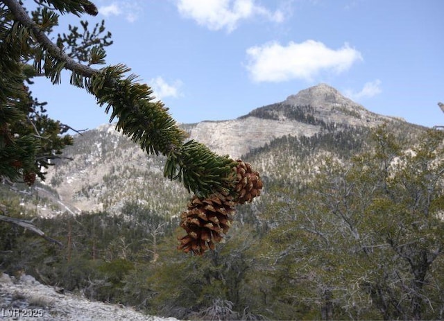 view of mountain feature