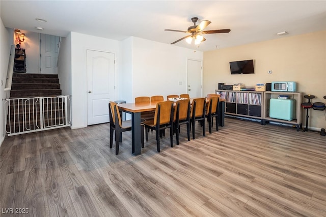 dining room with ceiling fan and wood-type flooring