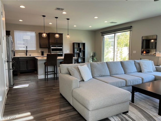 living room featuring dark wood-type flooring and sink