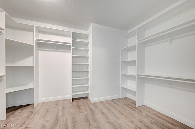 spacious closet featuring light wood-type flooring