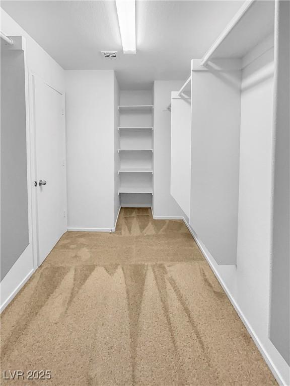 spacious closet with light carpet