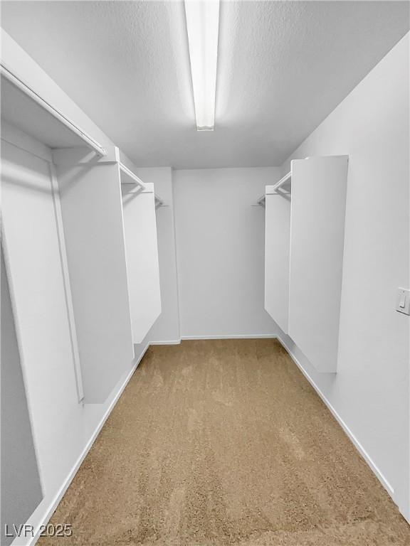 spacious closet featuring carpet floors