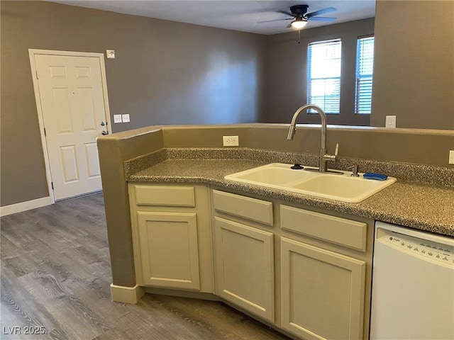 kitchen with ceiling fan, wood-type flooring, sink, and white dishwasher