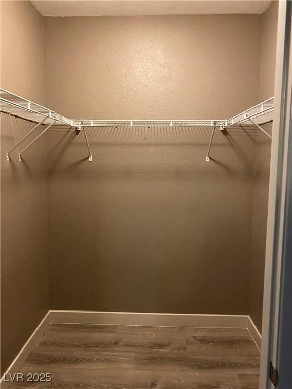 walk in closet featuring hardwood / wood-style floors