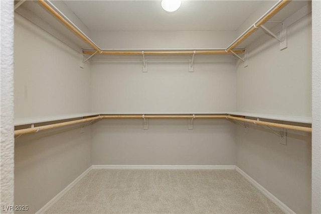 spacious closet featuring light carpet