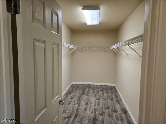 walk in closet featuring hardwood / wood-style flooring