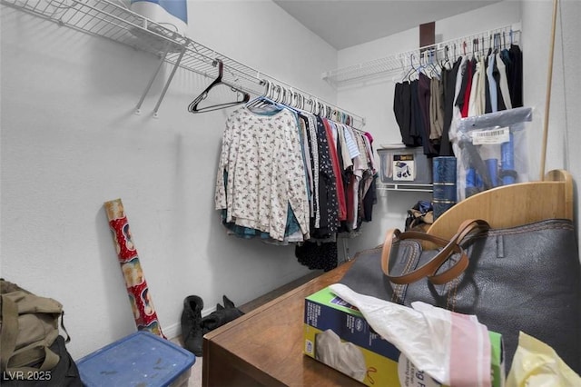 view of walk in closet