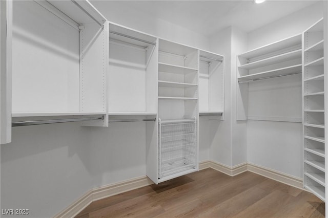 walk in closet featuring hardwood / wood-style flooring