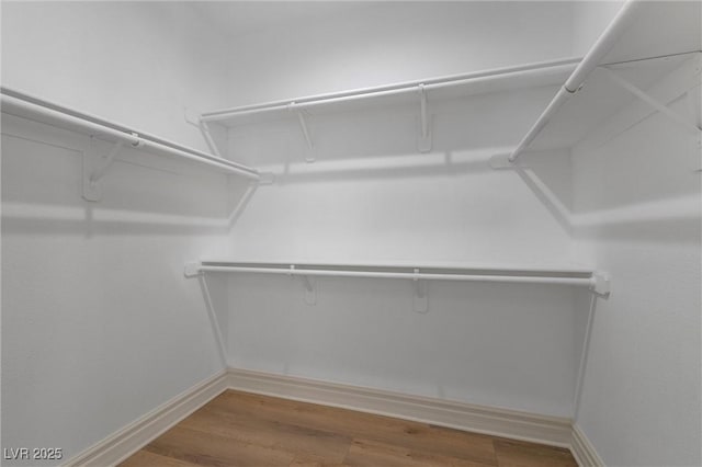 spacious closet with hardwood / wood-style flooring